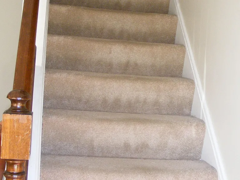 Carpeted stairs that helps deaden noise