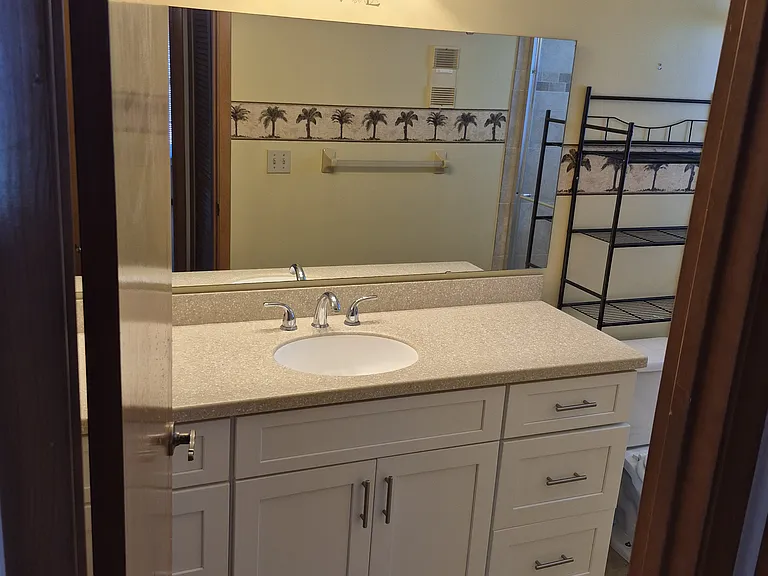 New guest bath vanity