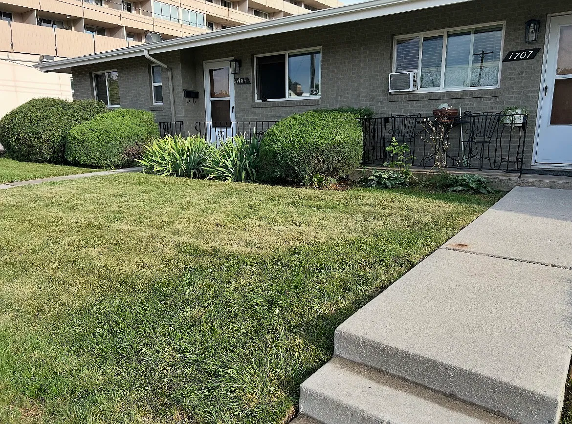 2 bed, 800 sqft, $1,295 — Photo 2