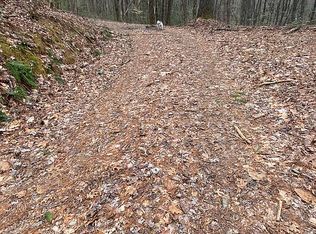 Lake Ridge Ln, Topton, NC 28781