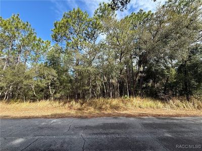 4931 N Mulberry Loop, Beverly Hills, FL, 34465