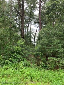 0 Thornhill Dr, Sorrento, FL, 32776