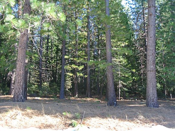 2nd image of 43 Foresthill Rd