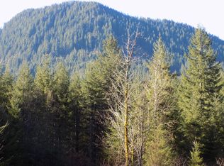 142 Leete Rd, Carson, WA 98610