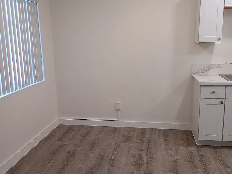 917 E Madison Ave #917 — Photo 2