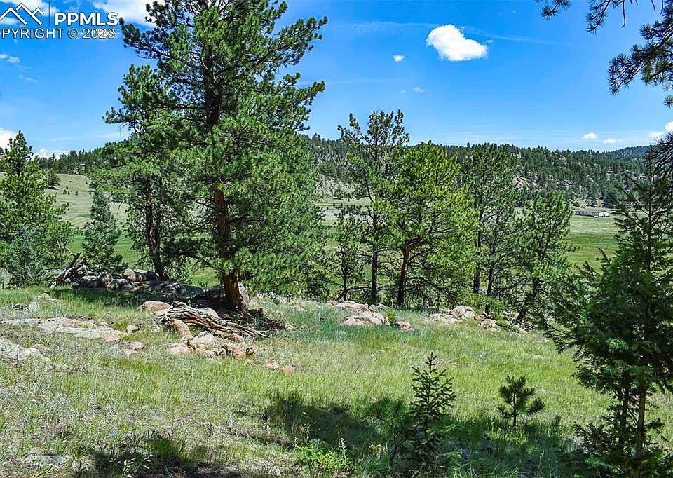 468 Valley Dr, Guffey, CO 80820 MLS 6896485 Zillow