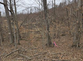 0 Stanaford Rd, Rainelle, WV 25962