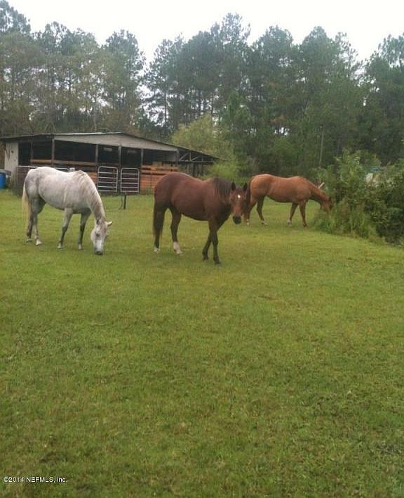 Horse friendly neighborhood