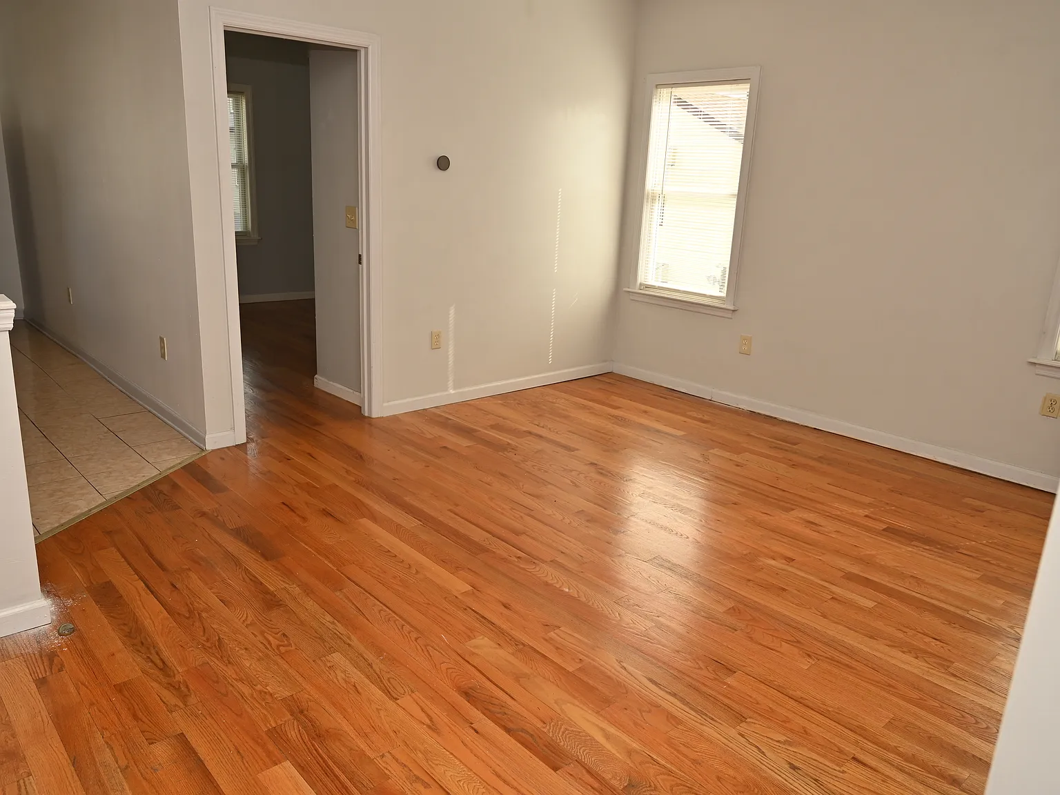 560 Forest St — Photo 3