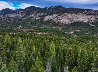 33864 Bergen View Trl, Evergreen, CO 80439