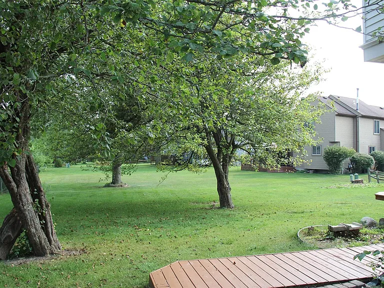 44777 Saltz Rd — Photo 3