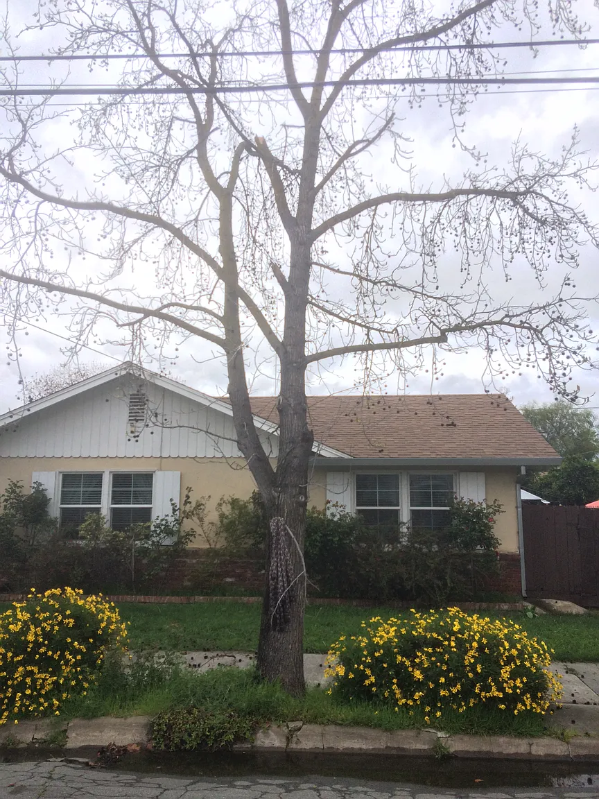 546 W Vine St photo 1