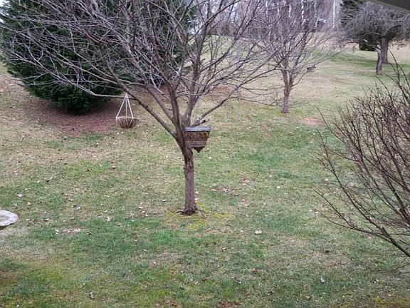 3rd image of 771 Quail Hollow Ct