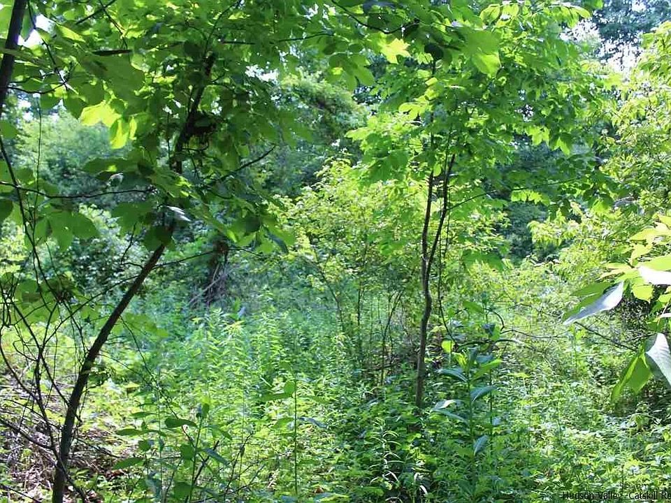 2nd image of Whitelands Rd