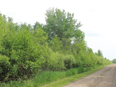 Feeley #3, Warba, MN, 55793