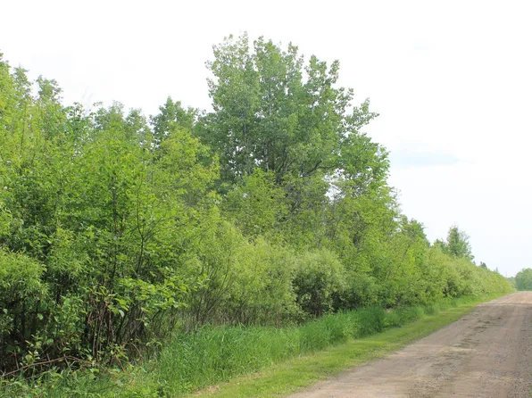 Feeley #3, Warba, MN 55793