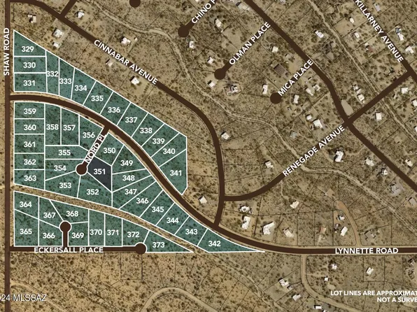 45 Lots W Lynnette Rd, Tucson, AZ 85736