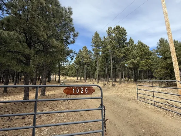 1025 State Highway 94, Mora, NM 87732