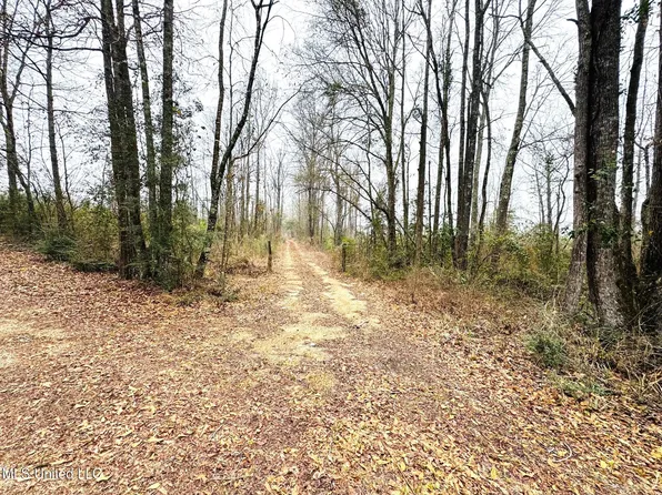 Sidney Ellzey Rd, Tylertown, MS 39667