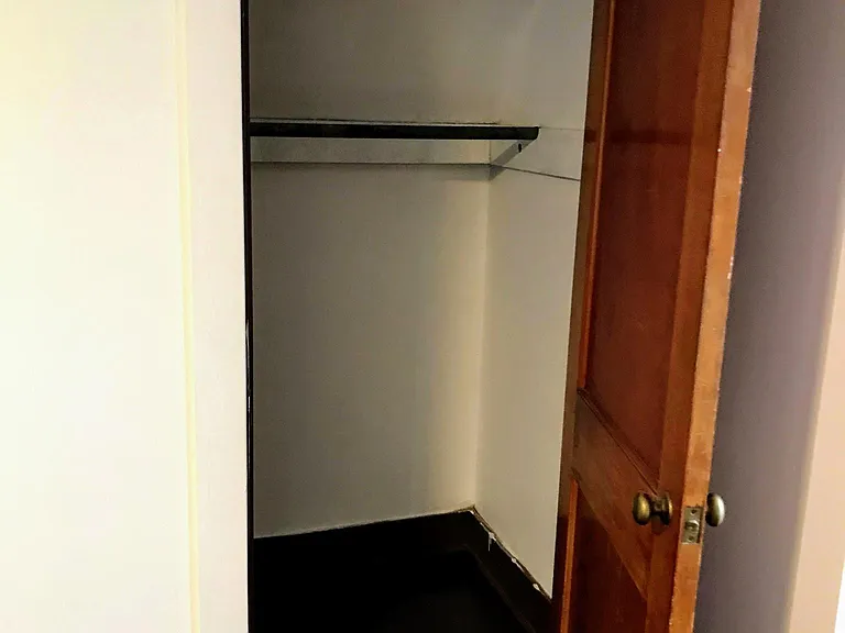 Bedroom #2 walk-in closet.