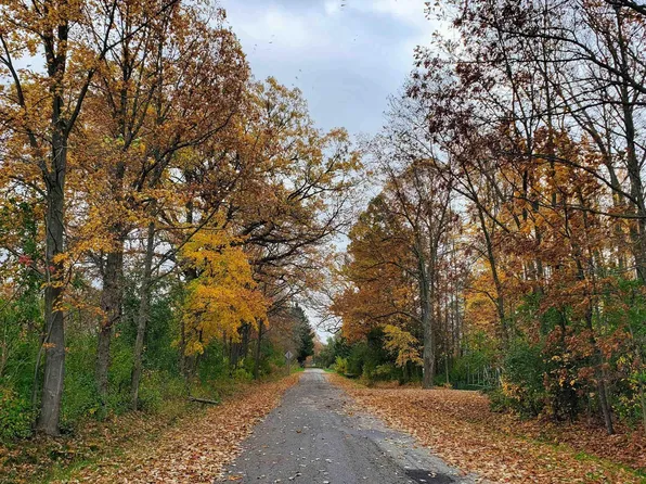 4441 W Willard Rd, Birch Run, MI 48415