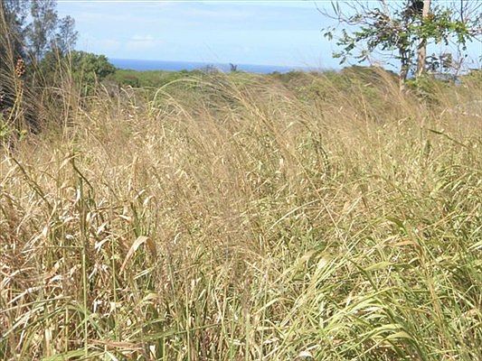 1st image of Kapua Pl Lot 4