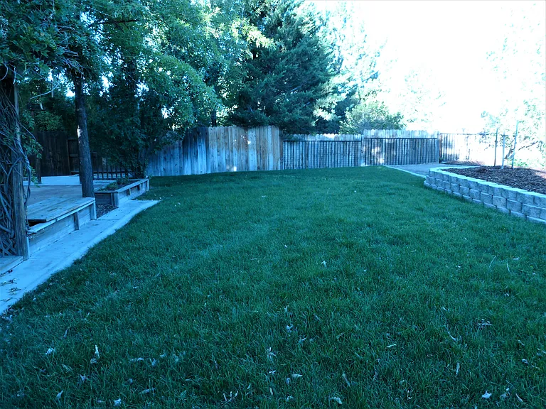 6770 Sandia Dr — Photo 5