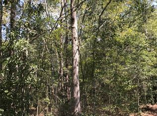 1269 Altamaha Rd, Hazlehurst, GA 31539