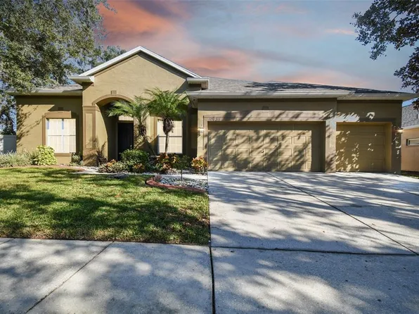 10734 Moss Island Dr, Riverview, FL 33569