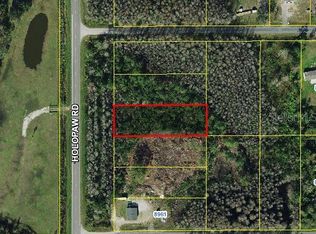Holopaw Rd, Saint Cloud, FL 34773