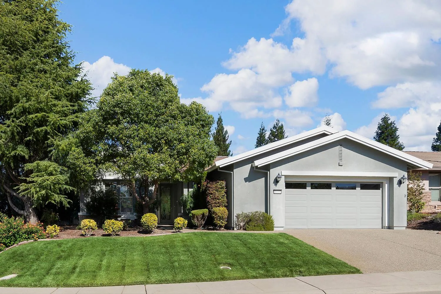 3113 Black Hawk Ln photo 1