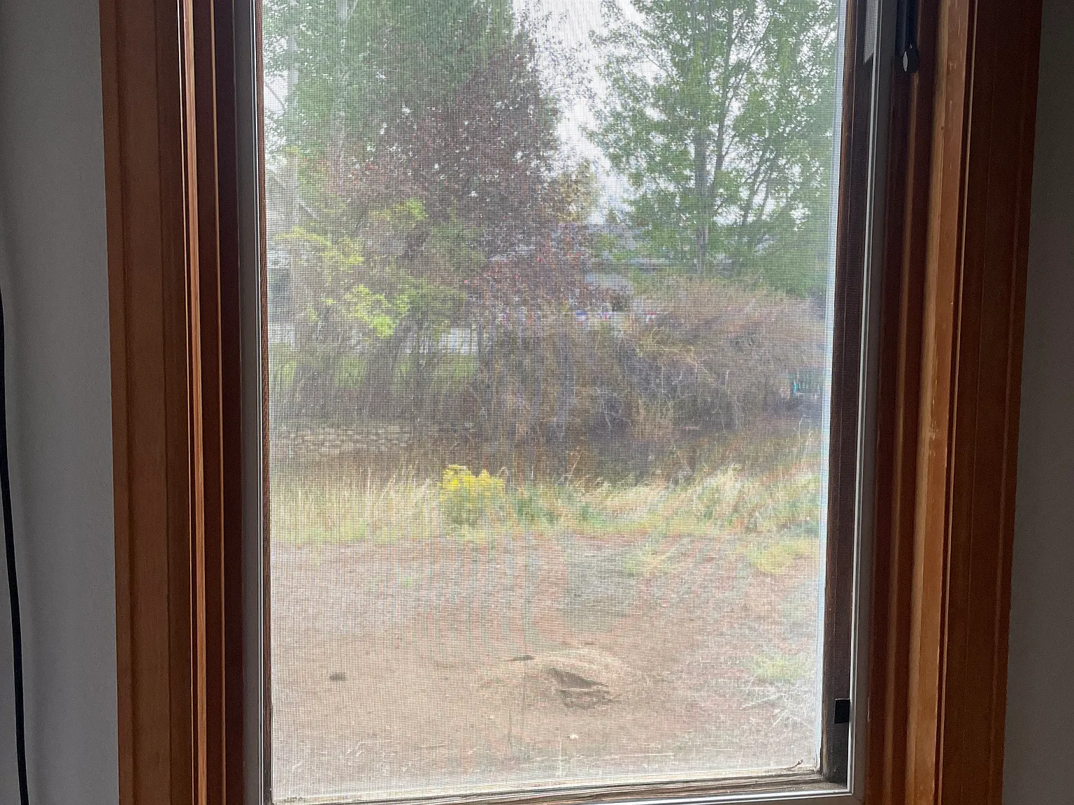 N Gunnison Ave, Buena Vista — Photo 4