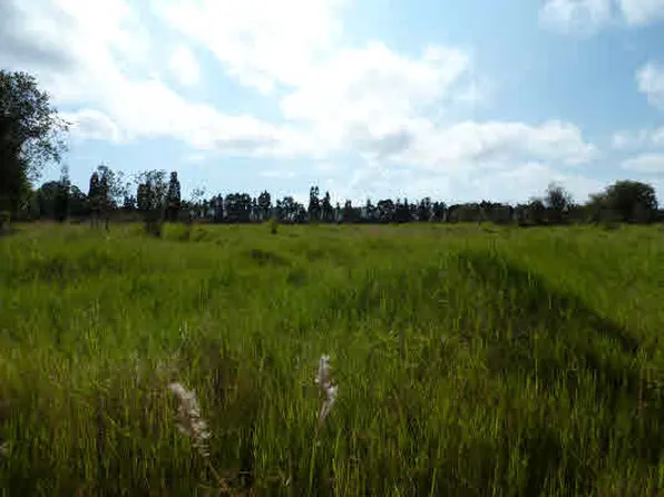 Volcano Hwy Lot 351, Volcano, HI 96785