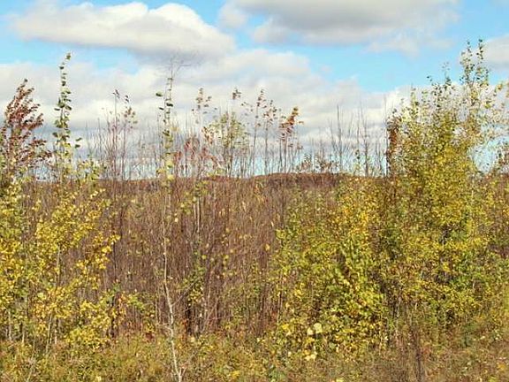 2nd image of 40 Acres Hwy #77