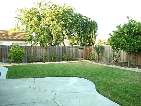 Backyard 2