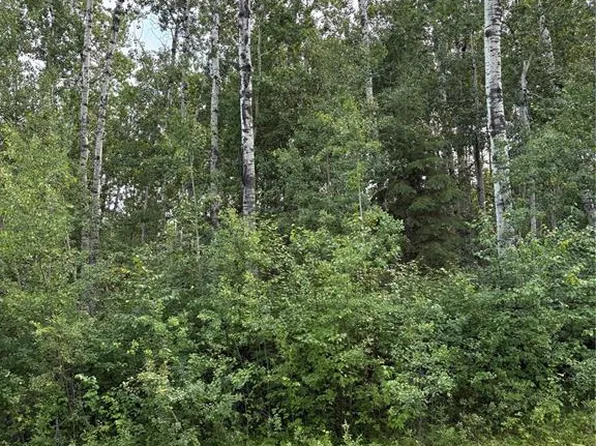 9 Wilson CRESCENT, Big River Rm No. 555, SK S0J 0E0