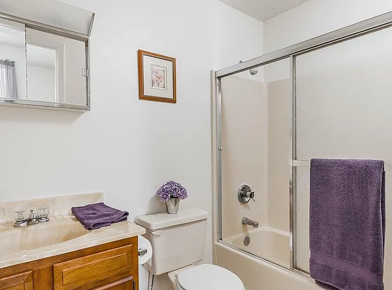 All-in-one Shower and Bath Combo