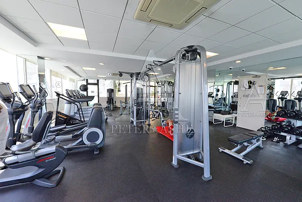 Rented by Peter Ashe | media 92