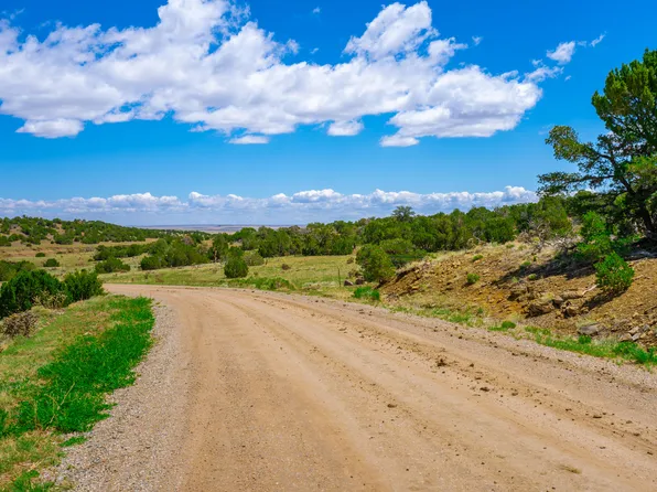 691 Rio Cucharas Chase #2, Walsenburg, CO 81089