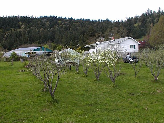 Fruit trees, shop