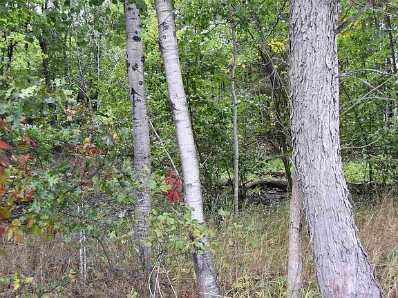 4th image of Xxx Lake James Dr