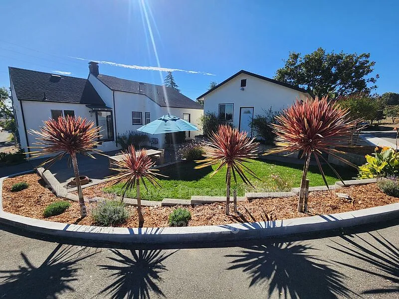 2 bed, 1.0 bath, 1250 sqft, $3,500 — Photo 3