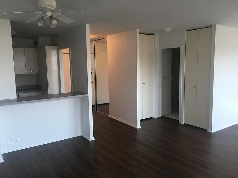 1255 N Sandburg Ter #2108 — Photo 4