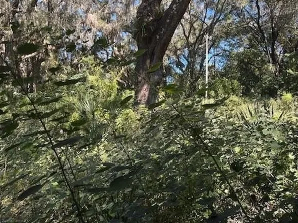 (undisclosed Address), Ocala, FL 34481