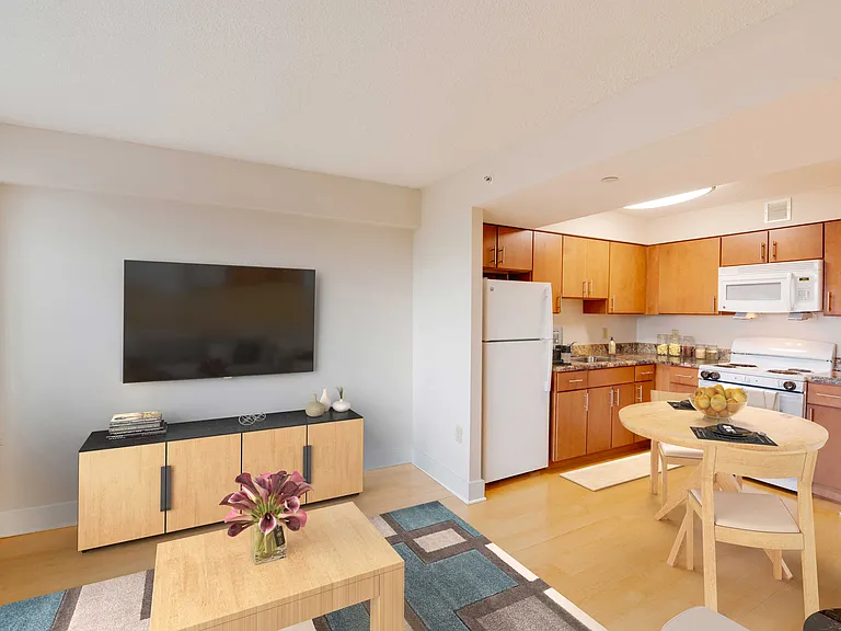 Studio Apartment