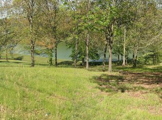 223 Wilmore Dr, White pine, TN 37890