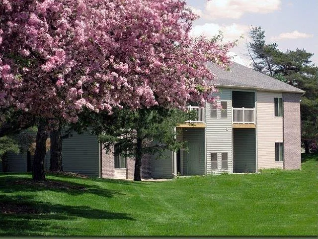 Verndale Apartments — Photo 4