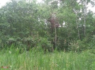 Chickering Rd, Belding, MI 48809