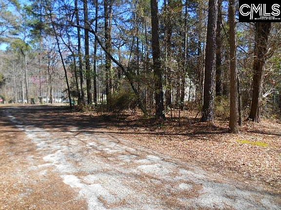 3rd image of 0 Guppie Ln