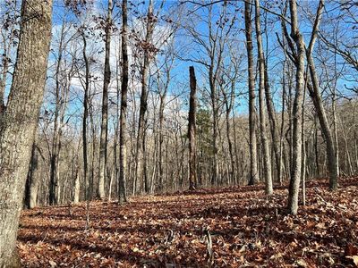0 Heaven Scent Rd, Morganton, GA, 30560